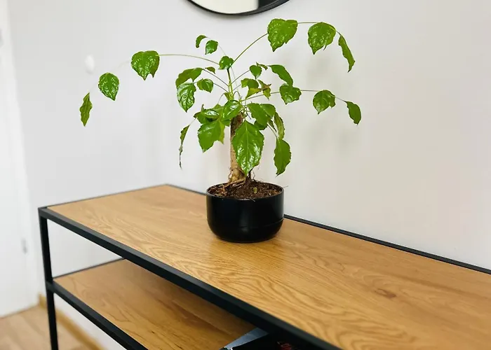 Apartament, Free Parking, Blisko Rynek-dworzec Pkp-pks, Sklepy Appartamento *